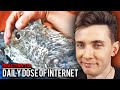 ХЕСУС СМОТРИТ: DAILY DOSE OF INTERNET | РЕАКЦИЯ/REACTION