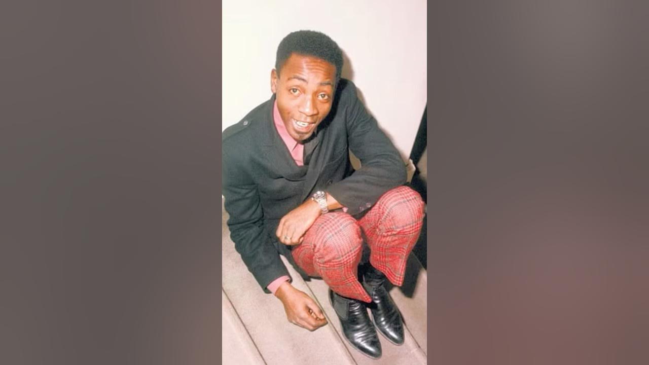 The Hidden Heartbreak Behind the Joyful Tune SUNNY 1966 Bobby Hebb The Hidden Heartbreak Behind the Joyful Tune SUNNY 1966 Bobby Hebb