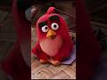 if i voiced everyone in the angry birds movie