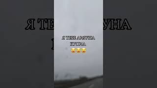 Я тебе лизуна купил😂😂😂 #юмор #позитив #смешно #прикол #ржака #смех #угар #ржач #мем #рек
