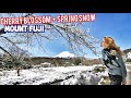 Adeyto 🌸🗻❄️ Getting to Mount Fuji Snow + Sakura AMAZING DAY April 2020 🎬 HUAWEI P30 PRO
