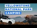 Camping in Yellowstone National Park in 2021 Tesla Model Y | S1:E15