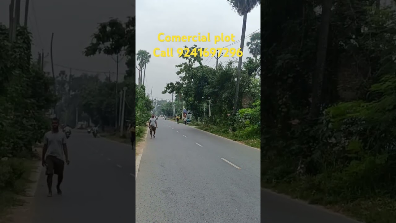 Property in Patna/bihta Patna me jamin/plot in bihta/house for sale