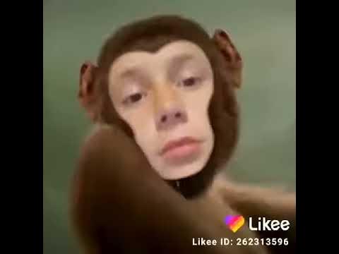 Обезьяна чичичи продавала кирпичи - YouTube