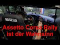 Assetto Corsa Rally ist der Wahnsinn