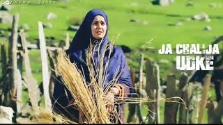 Dekhna na mudke ja chali ja udke #live #love #mother #pure