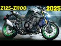 Kawasaki Z125 - Z1100 ! Все 12 Мотоциклов Серии 2025 !