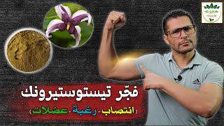 The best herb to increase the male hormone in a natural way|erection, desire, and muscle mass