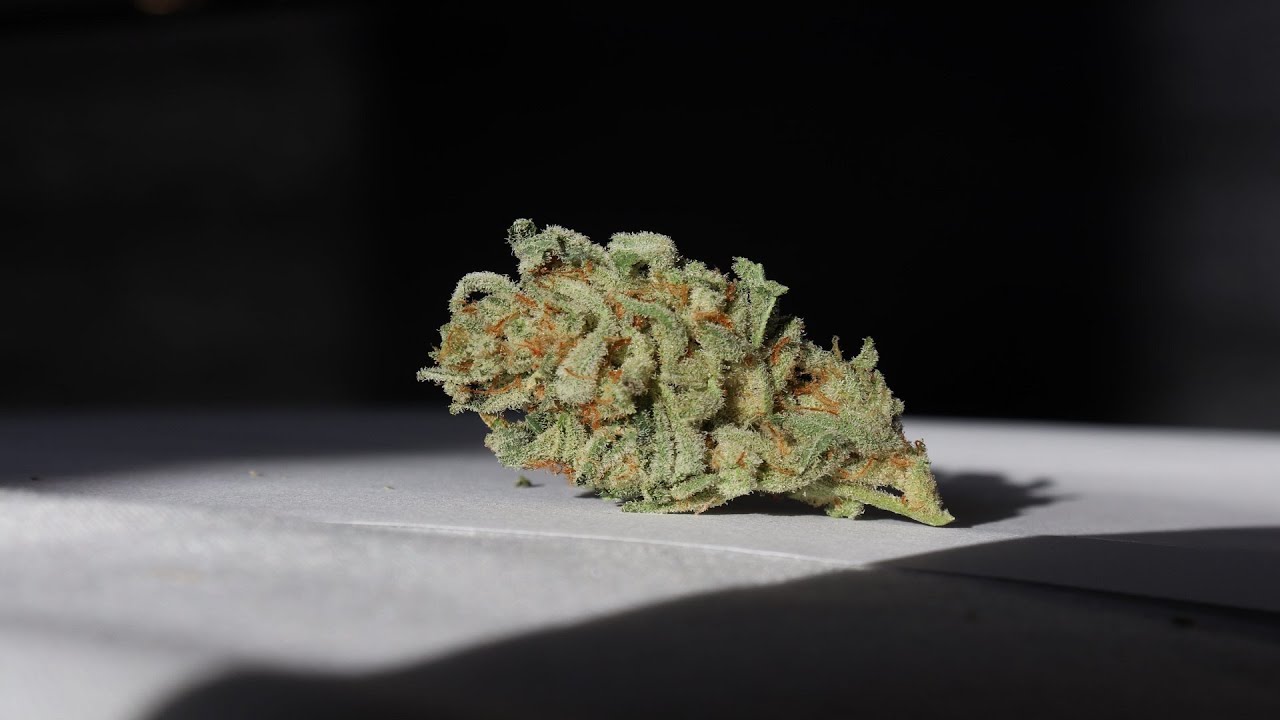 Strain Review - Sour Angel by In House Genetics