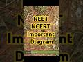 Cell-The Unit Of Life #neet #ncert #short #neet2025 #neet2026 #biology #botany #shortsfeed #shorts