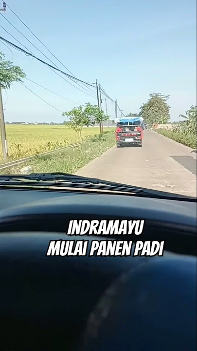 menikmati perjalanan, sambil lihat padi #shortsvideo #padi #panenpadi #perjalanan