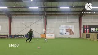 27.02.26 High pressure backside wrap 