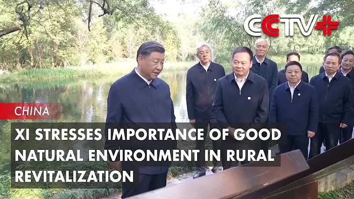 Xi Stresses Importance of Good Natural Environment in Rural Revitalization - DayDayNews