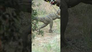 An Archery Shot Made For The Short Kings At Bdc 3