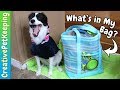What's in my Bag? | Dog Camping Supplies