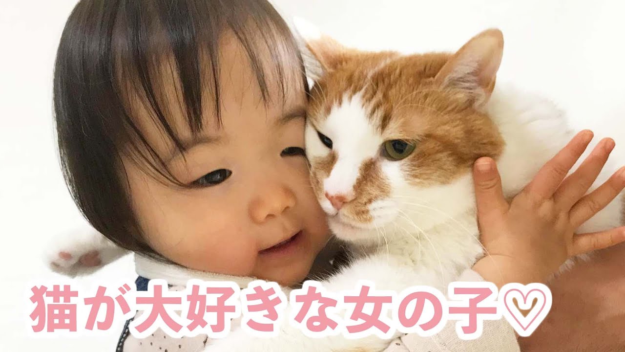 かわいい♡女の子と猫ちゃん お家の可愛い猫使い♡ 女の子が猫と一緒に暮らして成長すると… - YouTube