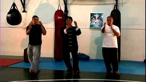 Basic Tai Chi Chuan Moves   The Brushing Knee Stroke Block in Tai Chi