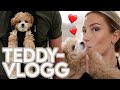 Teddys vlogg 🐶