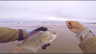 Surf Fishing Low Tide on the Oregon Coast