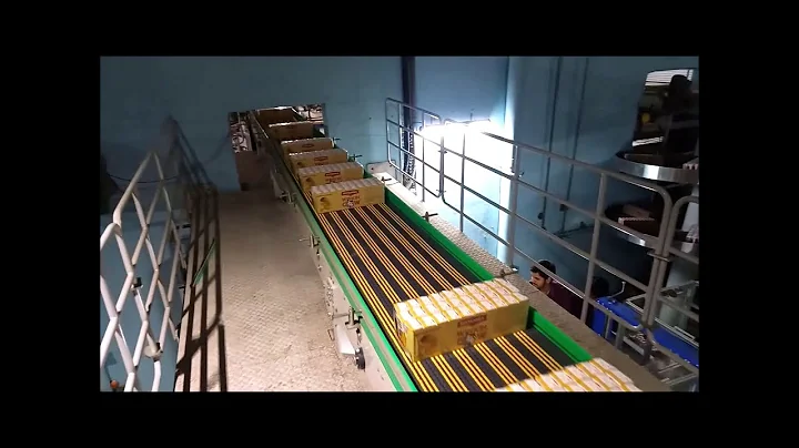 End of Line Packaging Automation - Multi-line Robotic Palletizer with Pallet Conveyor System