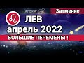 ЛЕВ - АПРЕЛЬ 2022 Солнечное затмение ГОРОСКОП. Астролог Olga