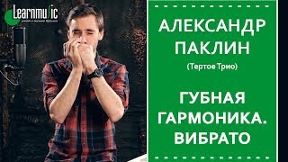 Урок по губной гармонике | Вибрато