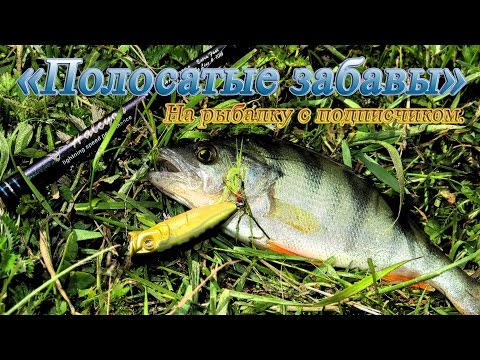 Поппер Baby Pop X от Megabass