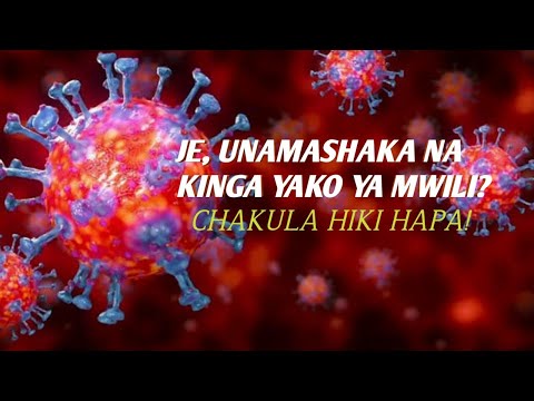 Video: Virusi Vya Ukosefu Wa Kinga Ya Mwili Wa Feline Katika Paka - Hatari Ya FIV, Kugundua Na Tiba Katika Paka