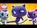 NINJA CATS! 😼 6 Full Episodes 🌈 True and the Rainbow Kingdom 🌈