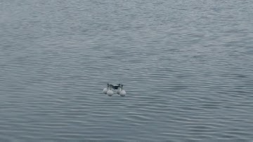 Dji spark on water float