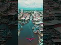 Sekinchan Town From Above