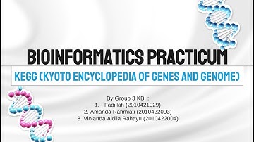 BIOINFORMATIC PRACTICUM - KEGG BY GROUP 3 KBI