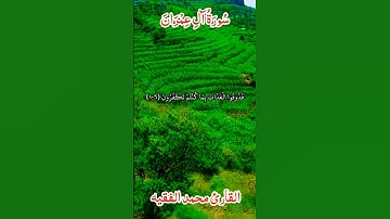 #اكسبلور القارئ محمد الفقيه سورة ال عمران يَوْمَ تَبْيَضُّ وُجُوهٌ وَتَسْوَدُّ وُجُوهٌ