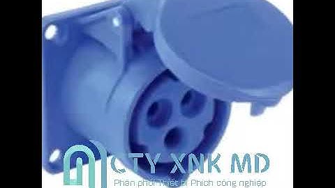 Ổ cắm công nghiệp, phich công nghiệp