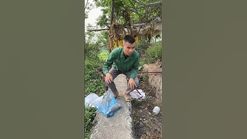 Cậu bé tốt bụng nhặt được tiền 💰 #shorts #shotrs