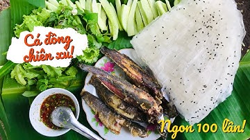 Đêm cắm câu cá lóc bất ổn/Đem mớ cá lóc,cá trê,cá rô đồng chiên xù luôn