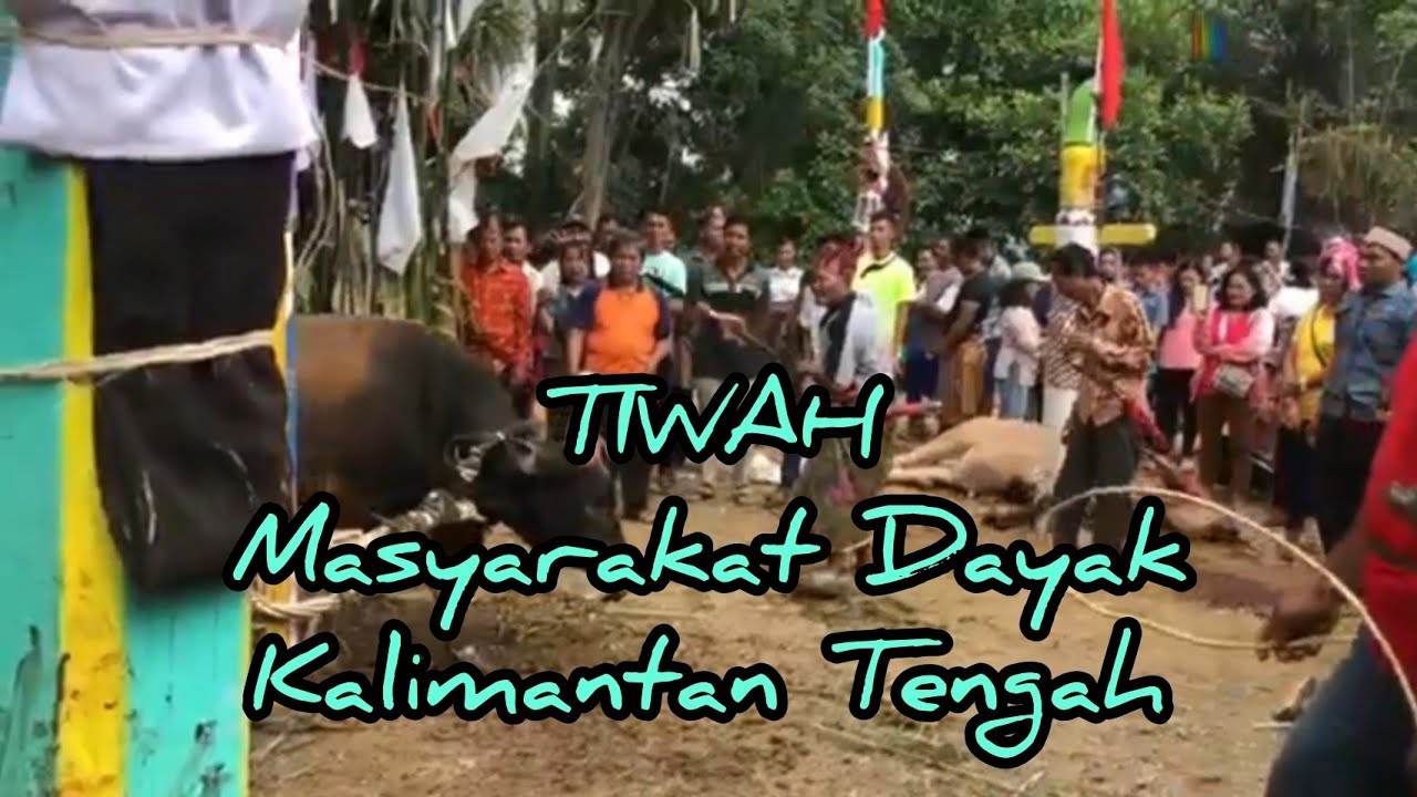 Kumpulan Ritual Tiwah Dayak  Kalimantan  Tengah  YouTube