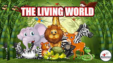 The Living World l Lecture 1 l Biology l NEET