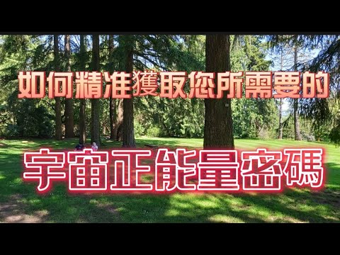 D180 可遇不可求！如何獲取您所需要的宇宙正能量？