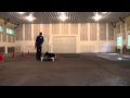 Gerda (German Shepherd) Boot Camp Dog Training Video Gerda (German Shepherd) Boot Camp Dog Training Video