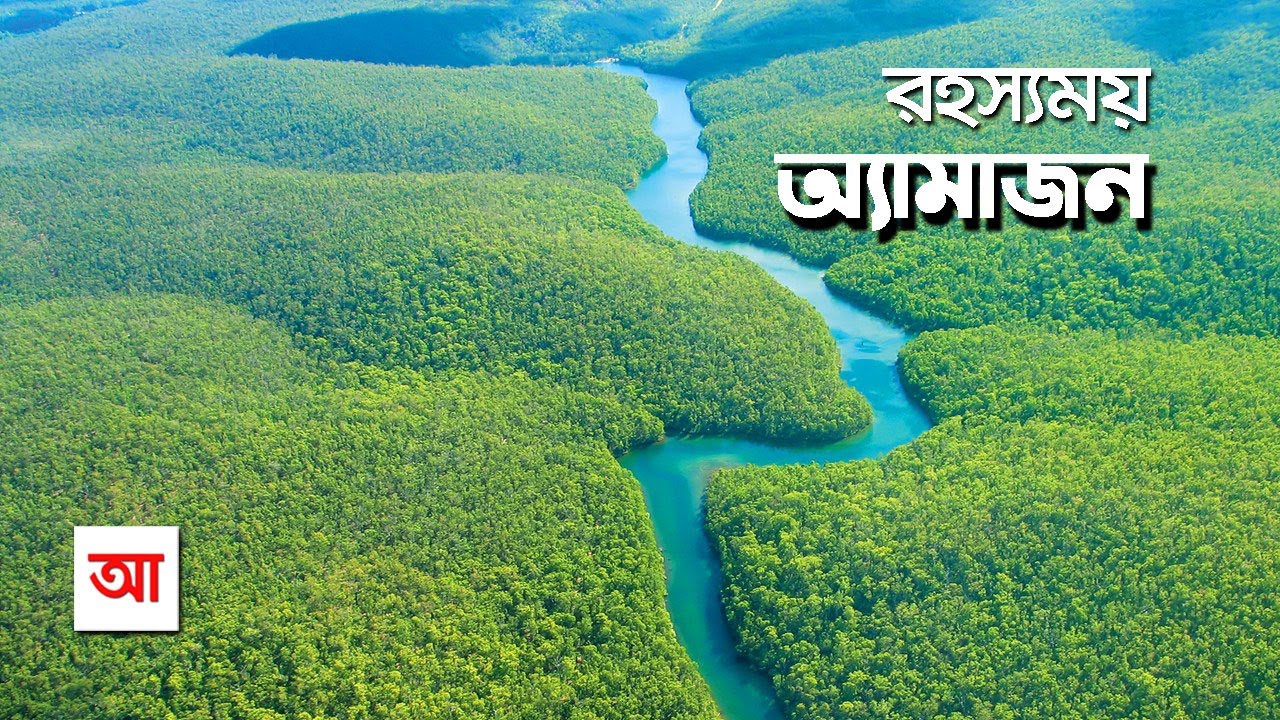 রহস্যময় অ্যামাজন বন | আদ্যোপান্ত | The Amazon: Largest Rainforest In The World | Adyopanto