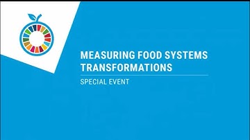 UNFSS+2  Measuring food systems transformation