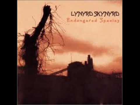 Lynyrd Skynyrd   Good Luck Bad Luck