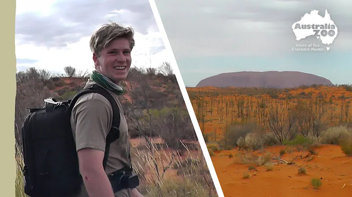 Exploring the red centre | Irwin Family Adventures