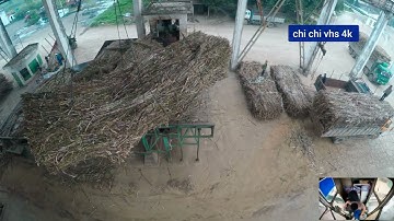 Kỹ năng lái cẩu trong khu công nghiệp