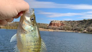 Crappie Fishing 101:  How to Catch Crappie DURING a ❄ cold ❄ front on Black Friday!