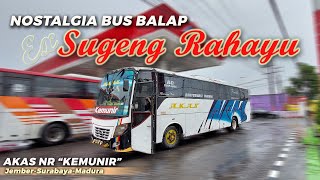 HUJAN DERAS TAMBAH NGEGAS! SENSASI NAIK BUS BALAP EX SUMBER GROUP! TRIP AKAS NR KEMUNIR