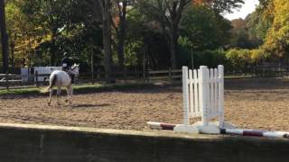 Catherine O'Brien in Intermediate Flat at Molloy
