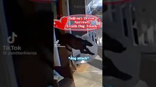 Delivery Driver Narrowly Avoids A Dog Attack!