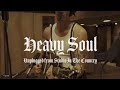 David shaw  heavy soul unplugged from studio in the country